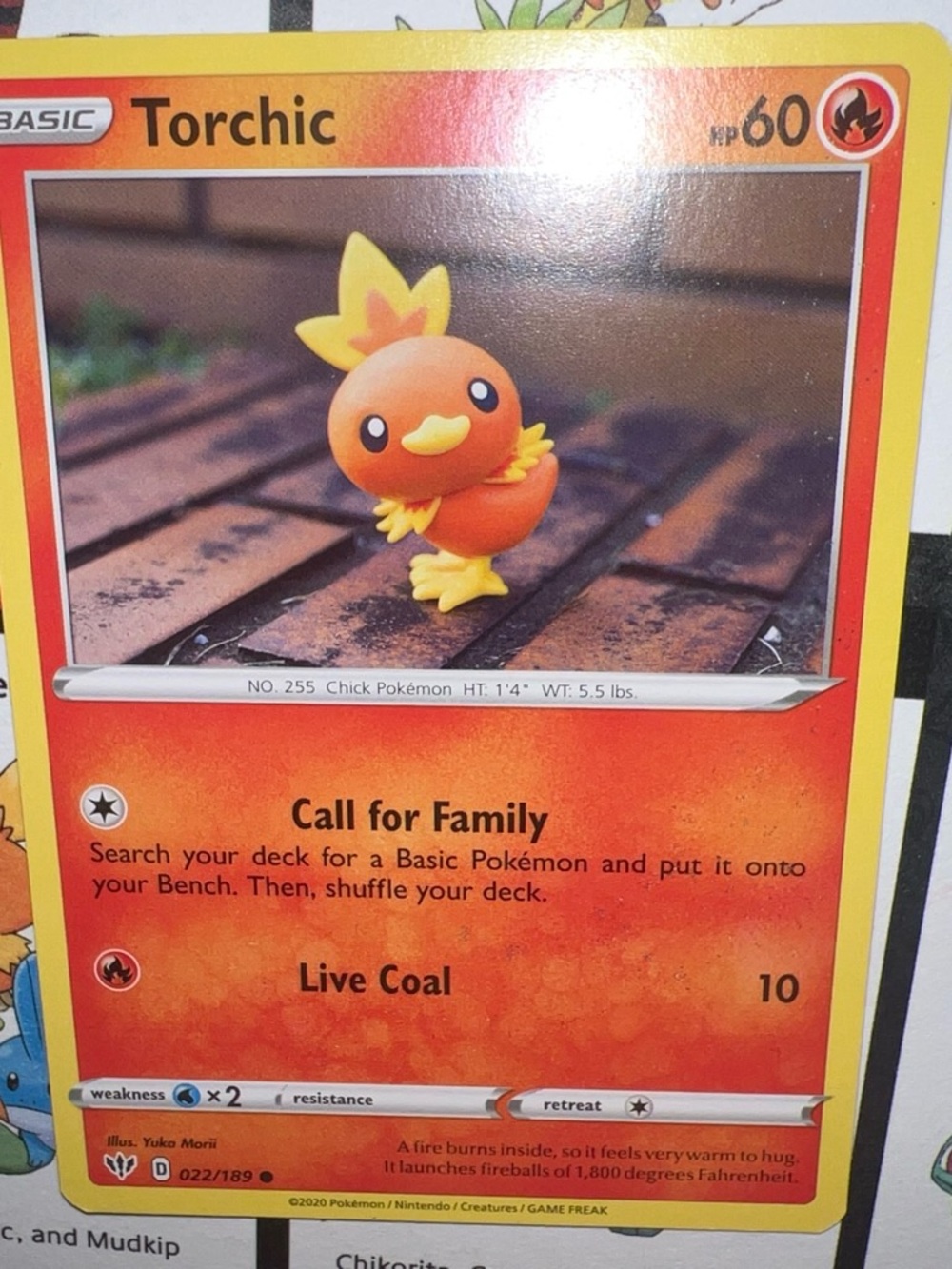 Pokemon Torchic Card - Yellow and Orange Artwork